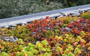 the cost of Plaitford Green green roof installation