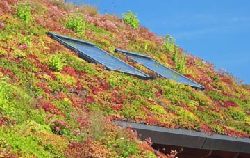 Plaitford Green living roof systems